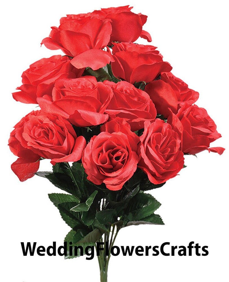 12 Red Open Roses Red Roses Valentine's Day Gift Rose Etsy