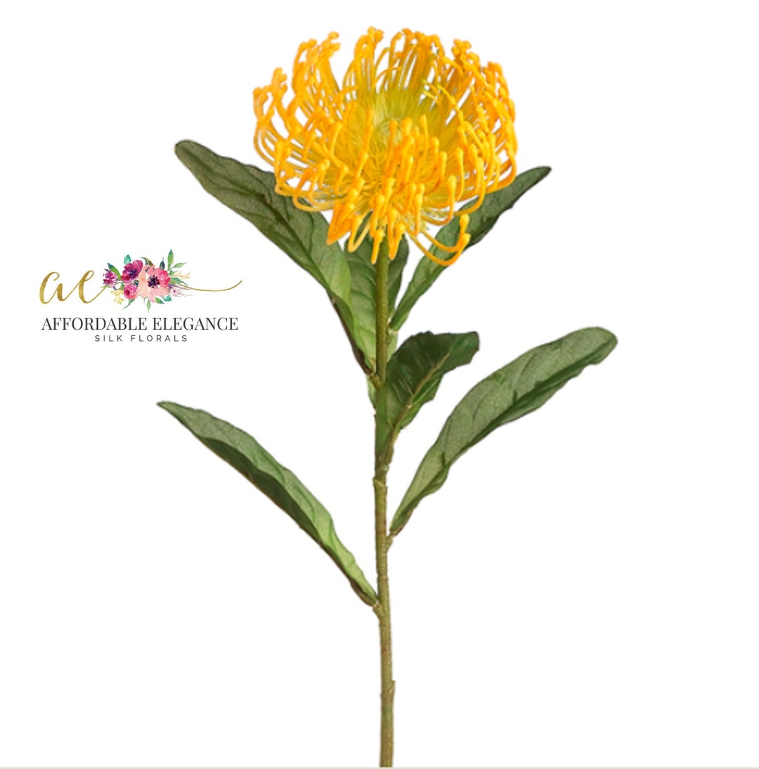 Artificial Protea Flower, Yellow Open Pincushion Needle Protea, Tropical Flowers, Faux Plant