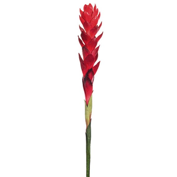 30 Artificial Ginger Lily Spray Red Ginger Real Touch Etsy 30 Artificial Ginger Lily Spray Red Ginger Real Touch Etsy