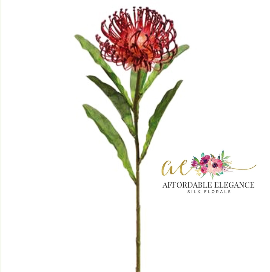 Artificial Protea Flower Burgundy Open Pincushion Needle Etsy