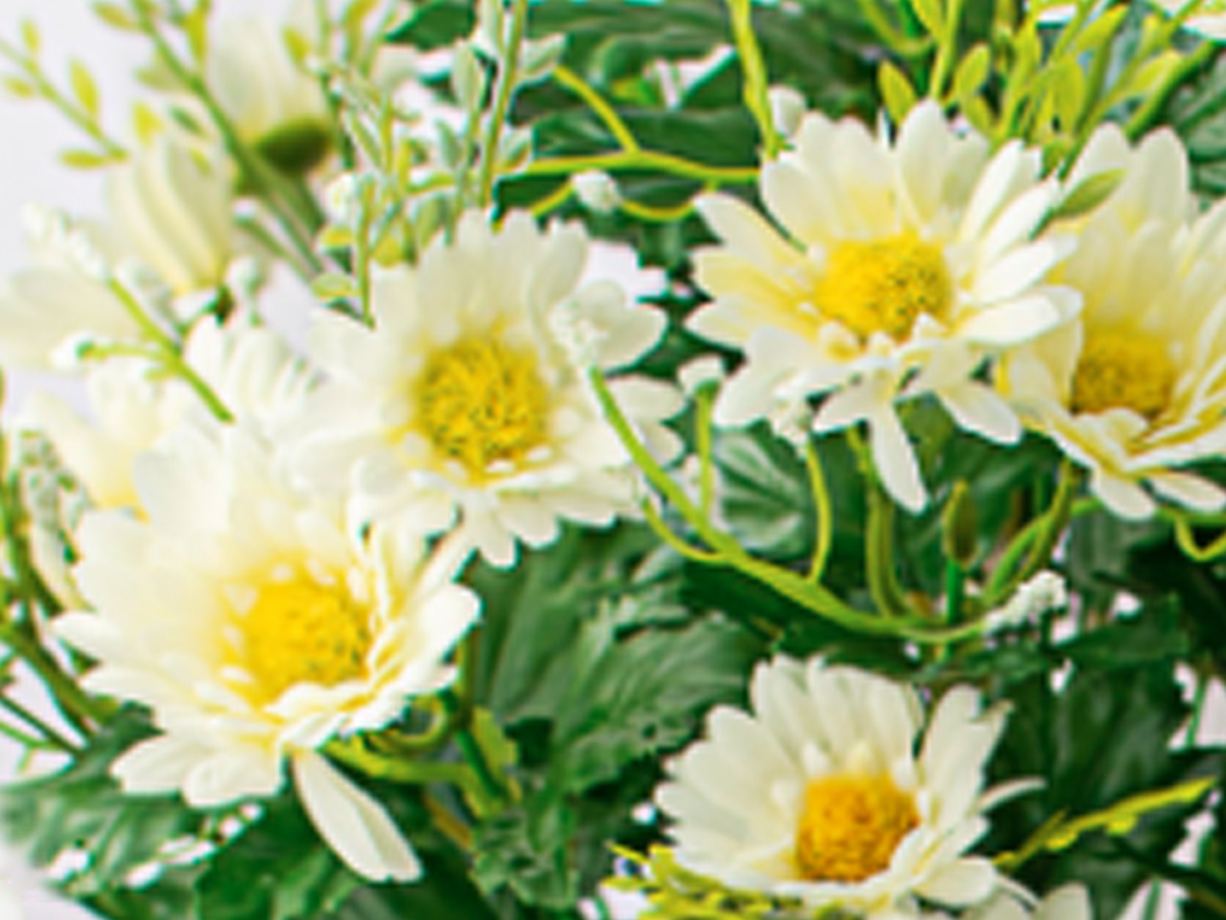 19 Silk Daisy Bush White Artificial Daisies Daisy Silk Etsy