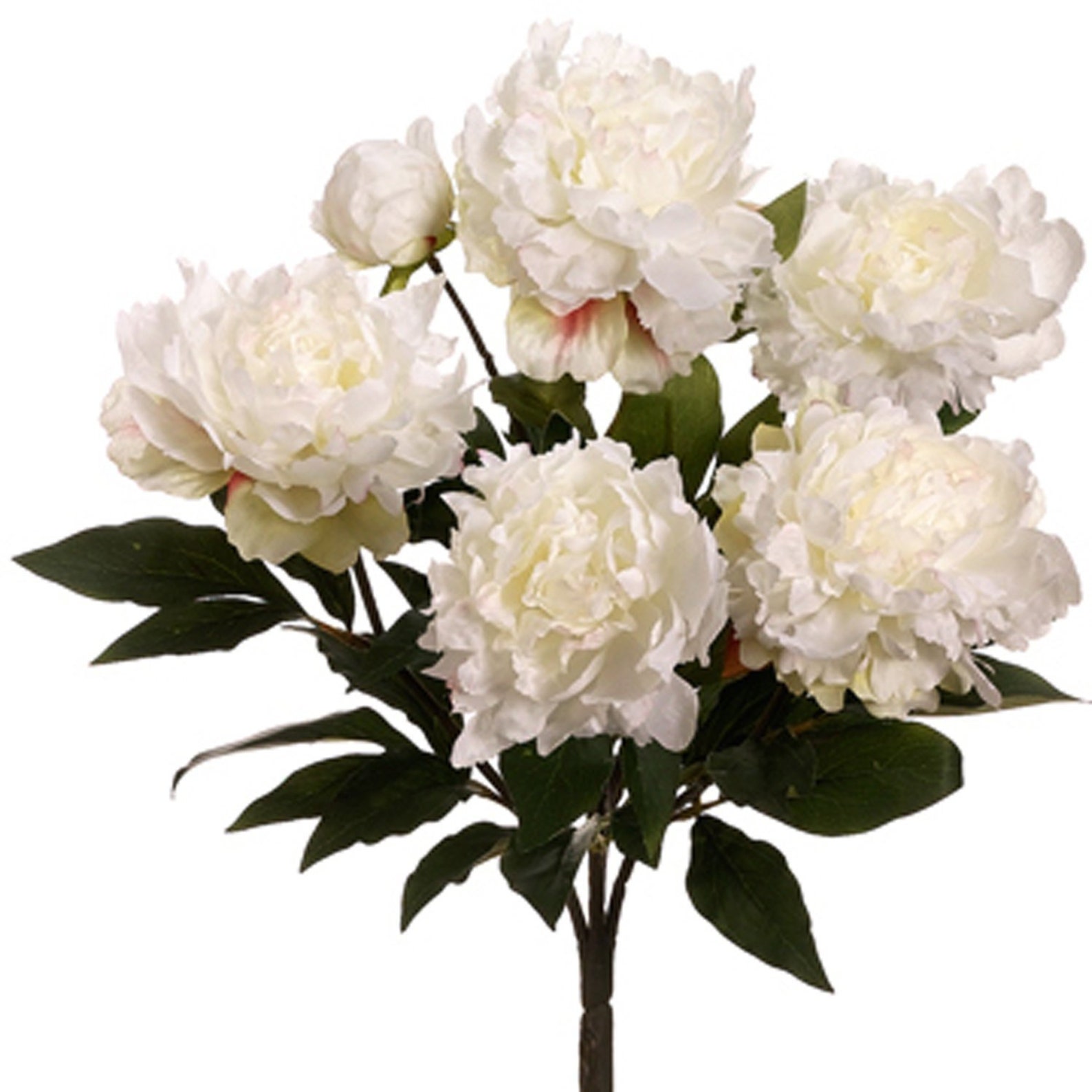 Cream Garden Peony Bush Artificial Peony Flowers Silk Peony Etsy