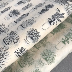 May include: Black and white illustration of potted plants on a beige background. The illustration features a variety of plants, including cacti, ferns, and succulents.