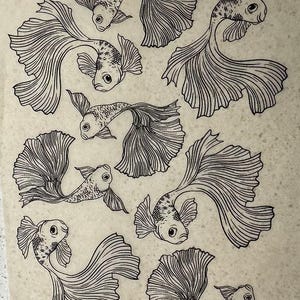 May include: A collection of black and white line drawings of betta fish, each with elaborate, flowing fins. The fish are depicted on a pale background. The illustrations highlight the fish's scales and fin details.