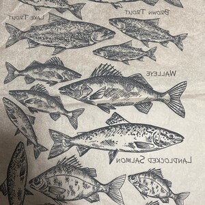 May include: A brown paper bag with a black and white illustration of different types of fish. The fish are labelled with their names: Brown Trout, Lake Trout, Walleye, Landlocked Salmon, and White Perch.