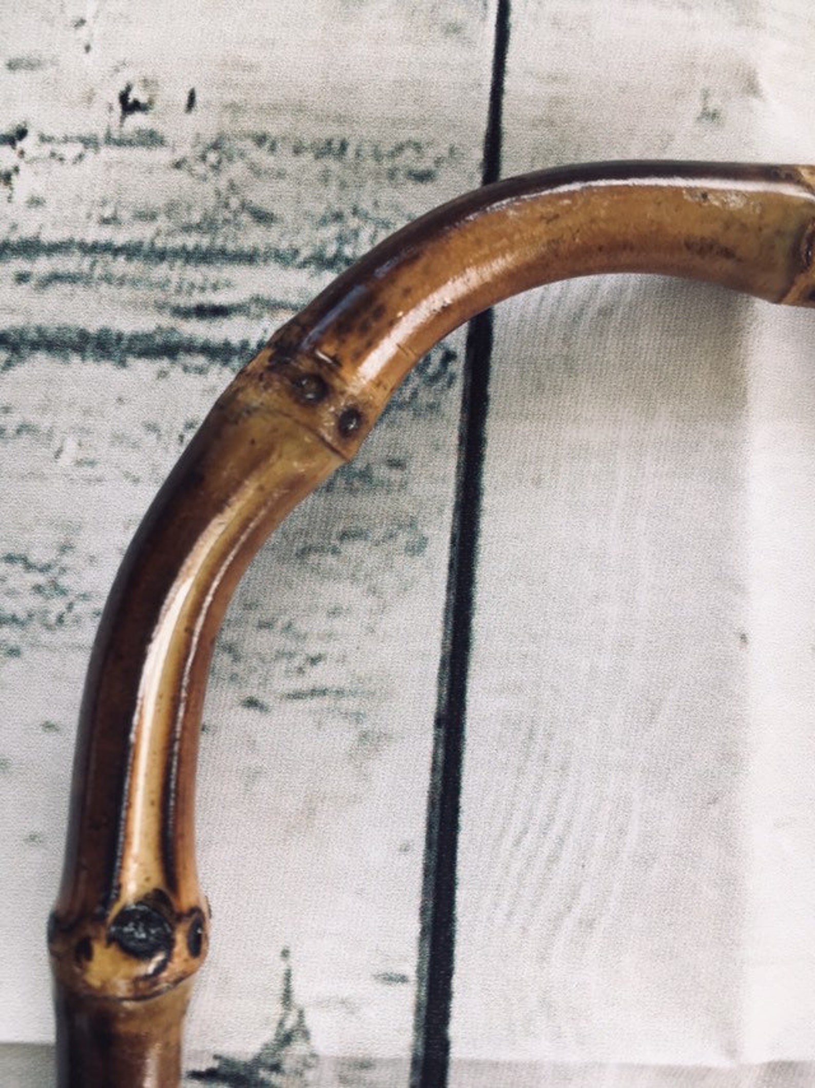 Bamboo Cane Teapot Handles for Pottery n Craft Projects Etsy