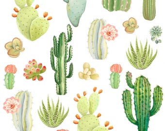 Cactus - Ceramic Overglaze Decal Transfers  - Sanbao