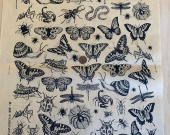 A Bugs Life - bugs and beetles -  Pottery Ceramic Underglaze Transfers  -  Ceramica