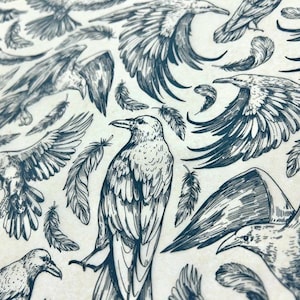 May include: A black and white illustration of a repeating pattern of crows and feathers. The crows are drawn in a detailed, realistic style, with their wings spread out. The feathers are scattered around the crows, creating a sense of movement and flight.