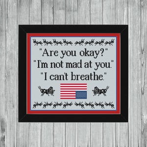 Puede incluir: Arte de punto de cruz en un marco negro con el texto "Are you okay?" "I'm not mad at you." y "I can't breathe." La bandera estadounidense está en el centro. El diseño incluye insectos decorativos.