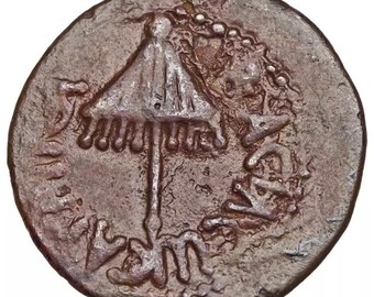 37-44 AD Judean, Herod Agrippa I AE Prutah, Umbrella / Grain ears, Coin of the Bible!