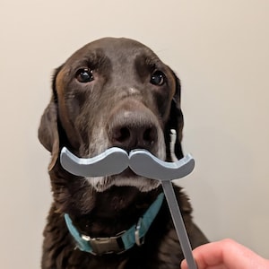 Mustasch- och skägg-STL-filer - Fotobåsrekvisita (3D-utskrift)