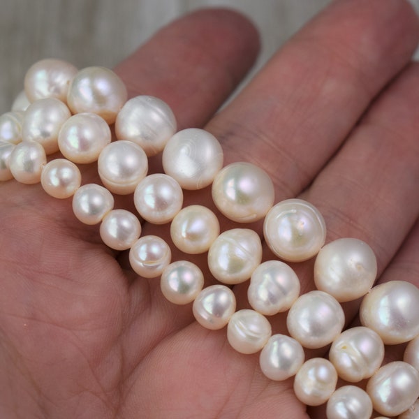 Freshwater Pearls -  Creamy White Potato Pearls - Choice of Size