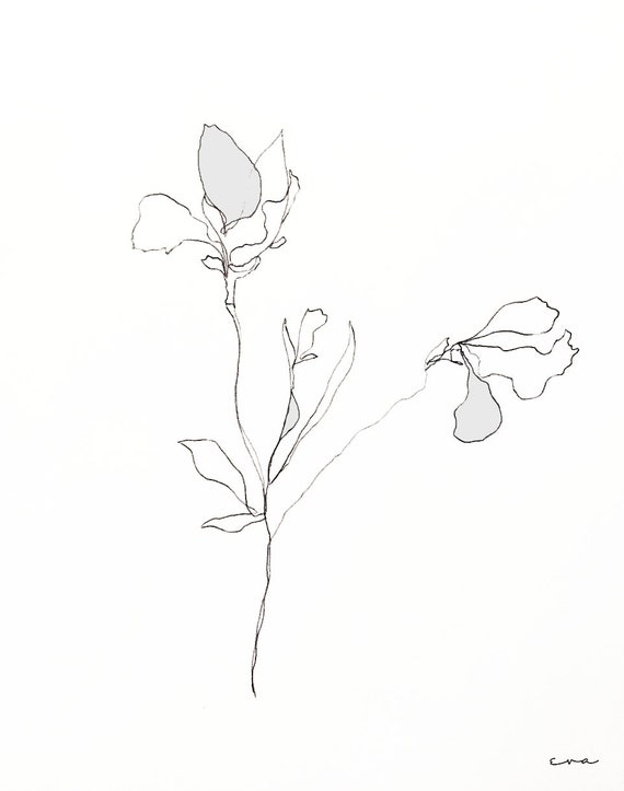 Plant Line Drawing Pen Black And White Art Wall Art Etsy