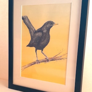 Original watercolour painting of a blackbird