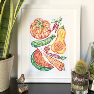 Colourful Butternut Squash Fruit and Vegetable Art Print