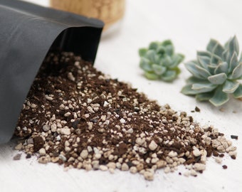 Substrato speciale premium da 2,5 l con carbone attivo per piante grasse e cactus - terriccio per piante d'appartamento