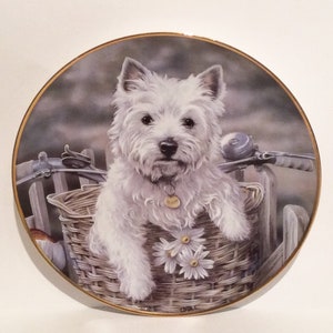 westie plates