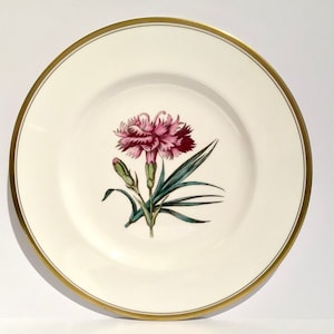Royal Worcester Pink bone china plate, Pink flower hand painted plate, Pink 9 inch bone china plate, pink and gold plate, Pink cabinet plate