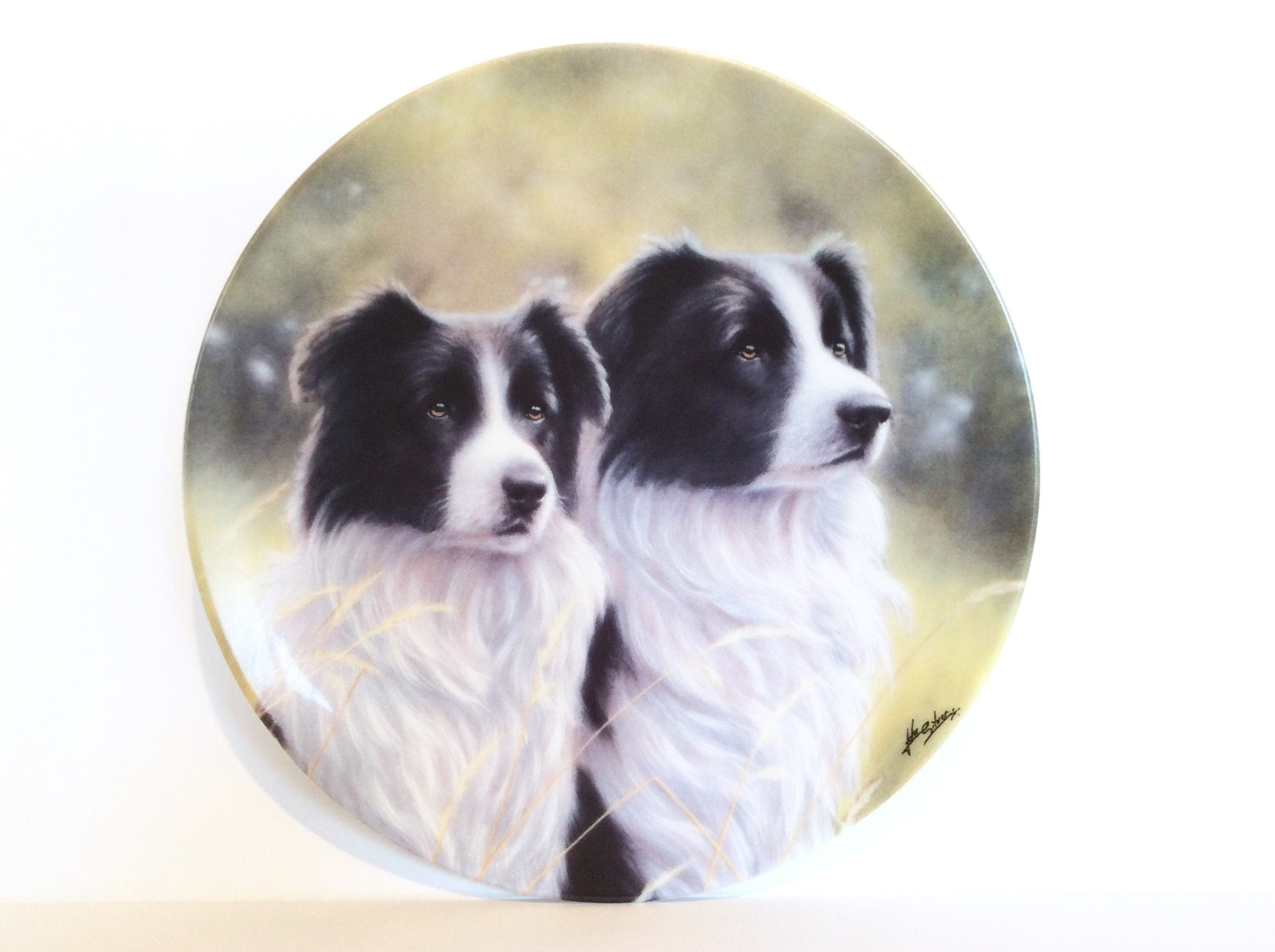 Border collie plates discount