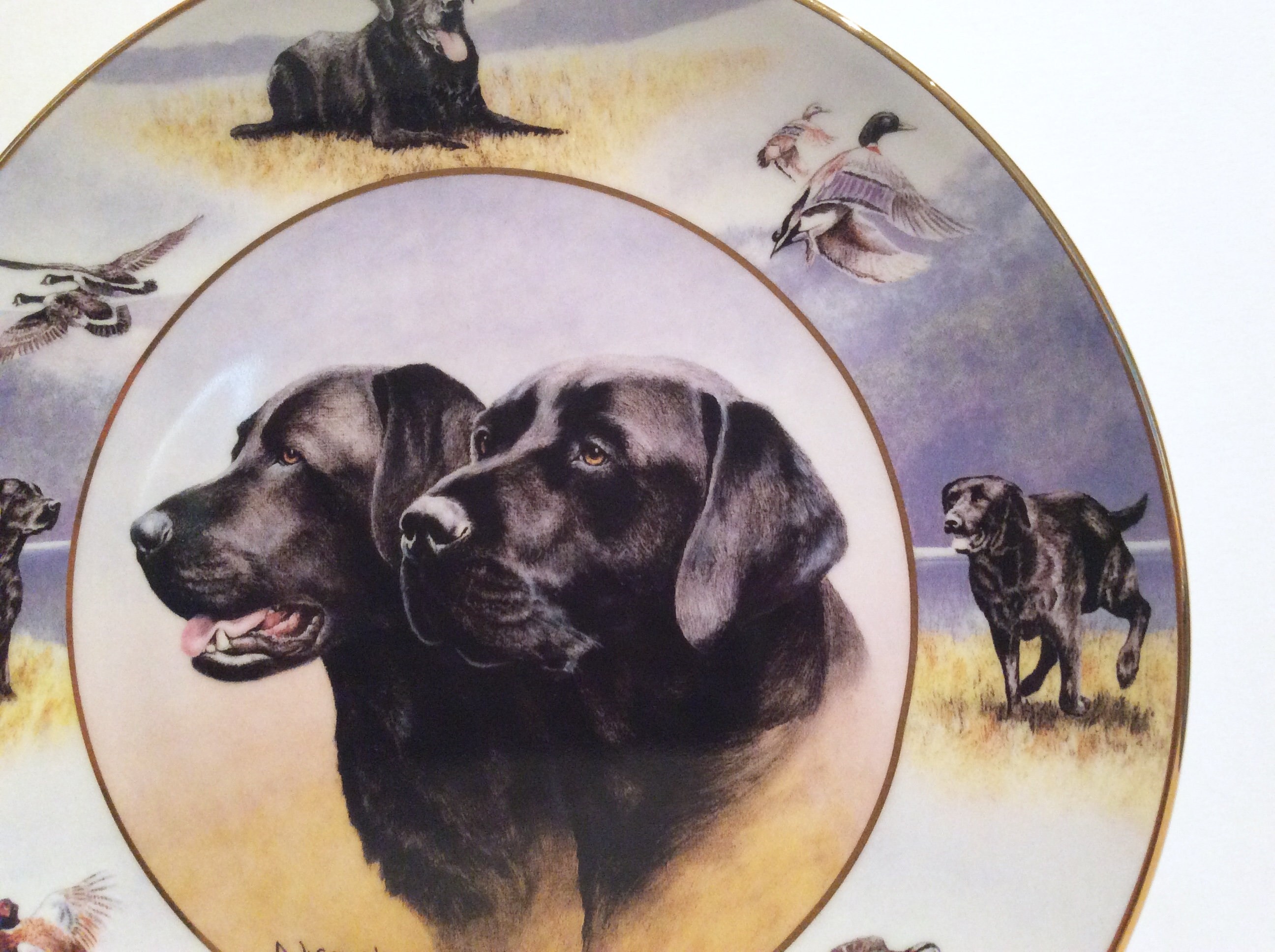 Royal Doulton bone china black labrador plate Franklin Mint Etsy