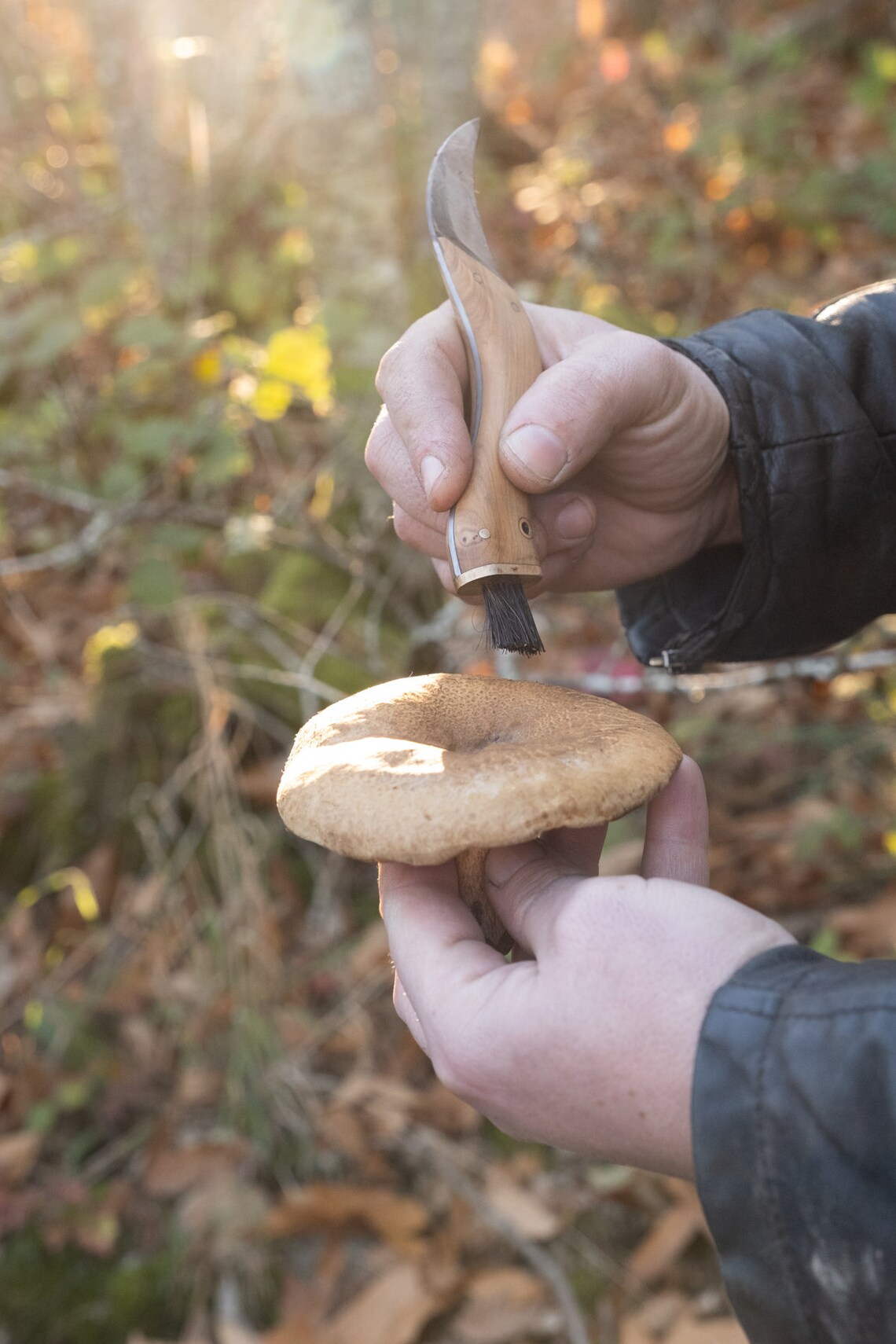 Mushroom Foraging Knife 'alcaide' Etsy