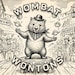 Wombat Wontons