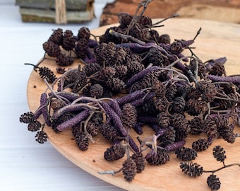 Dried Alder cones and buds for DIY Crafts, Wedding Decor, Flower Projects, Christmas Decorations