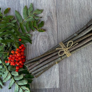 Bundle of Wooden Rowan Sticks 15 pieces, rowan wood sticks mountain ash tree wands branch bundle rustic wood forest natural tree decor