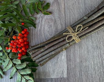 Bundle of Wooden Rowan Sticks 15 pieces, rowan wood sticks mountain ash tree wands branch bundle rustic wood forest natural tree decor