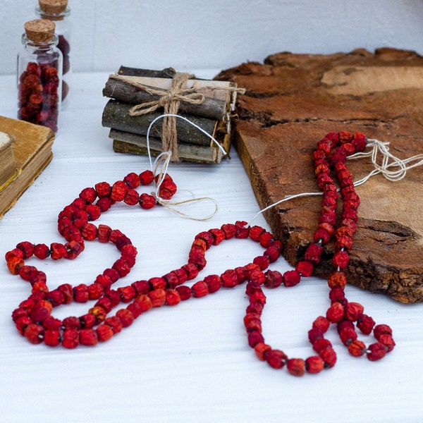 Rowan berry charm, Mountain Ash, Rowan Berry Pendant, protection spell, talisman, Dried rowan, Dried Mountain Ash berries