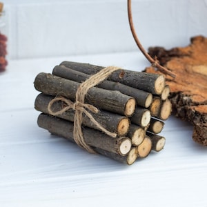 Aspen branches set of 13, natural dried branches, Aspen sticks protective rituals magic druids, wiccan supplies ,witch decor, rustic decor
