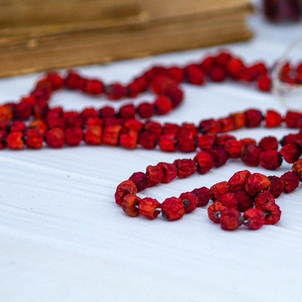 Rowan berry charm, Mountain Ash, Rowan Berry Pendant, protection spell, talisman, Dried rowan, Dried Mountain Ash berries