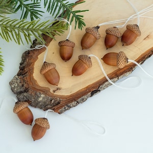 Real Dried Acorns with Caps Ornament, Set of 10, Christmas Ornament, Christmas Decor Christmas Tree Decor