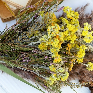 Rustieke stijl boeket Gedroogde bloem boeketten Gedroogde wilde bloemen Gedroogd kleurrijk bloemenboeket Gedroogde bloem bos