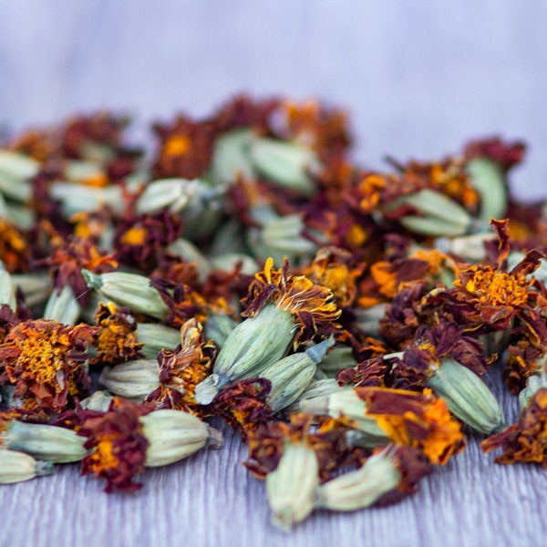 Heads of marigolds, dried flowers, Tagetes patula, dried flower heads, Marigold Flowers, Tagetes Erecta