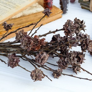 Dried willow flowers, unique wooden flowers, dried bouquet, vase filler, everlasting flowers bouquet, rustic home decor, decorative sticks