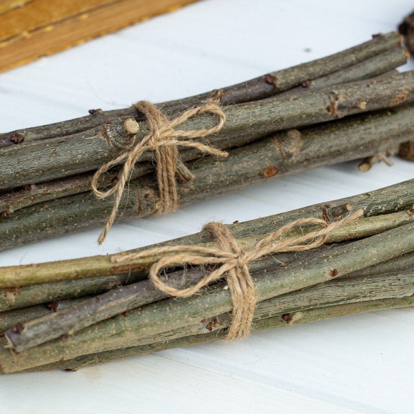 Branches de chêne ensemble de 10, branches séchées naturelles, branche de bois branche de chêne bâtons d'artisanat bâton de bois fourniture d'artisanat en bois