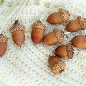 Real Dried Acorns with Caps Ornament, Set of 10, Christmas Ornament, Christmas Decor Christmas Tree Decor
