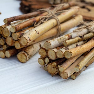 Natural dried birch branches set of 12, natural dried branches, Birch sticks White birch sticks for vase, birch logs, birch pole
