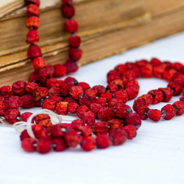 Rowan berry charm, Mountain Ash, Rowan Berry Pendant, protection spell, talisman, Dried rowan, Dried Mountain Ash berries