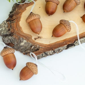 Real Dried Acorns with Caps Ornament, Set of 10, Christmas Ornament, Christmas Decor Christmas Tree Decor