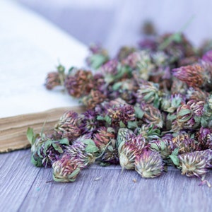 Organic Red Clover Blossom, Wild clover Dried Flowers Red Clover Trifolium Pratense Wild Natural Herb