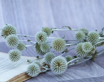 Natural Globe Thistle bunch Dried Echinop balls Dried flowers arrangement Blue flowers for vase DIY craft supply Bunch of dried flowers