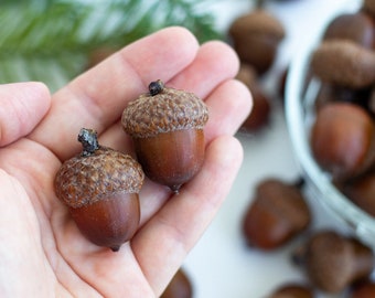 Large natural dried acorns/ set 50 pcs/ Dried Acorns With Caps, Christmas Decor, Dried Oak Acorns, Autumn Decor, Autumn wedding decor