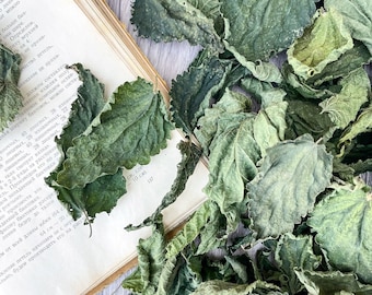 Organic Stinging Nettle Dried Leaves, Stinging Nettle Leaves, dry nettle leaf, nettle herbs