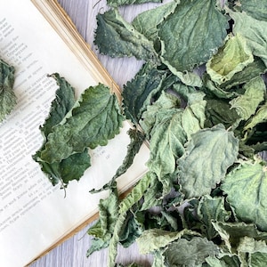 Organic Stinging Nettle Dried Leaves, Stinging Nettle Leaves, dry nettle leaf, nettle herbs