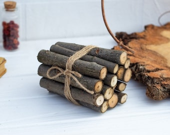 Aspen branches set of 13, natural dried branches, Aspen sticks protective rituals magic druids, wiccan supplies ,witch decor, rustic decor
