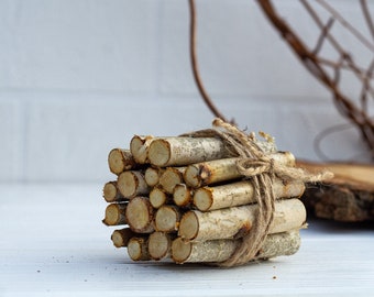 Birch branches set of 20, white natural birch sticks, natural home decor, rustic decor