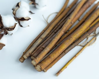 Willow branches Set of 10/20, willow natural branch decor, rustic home decor